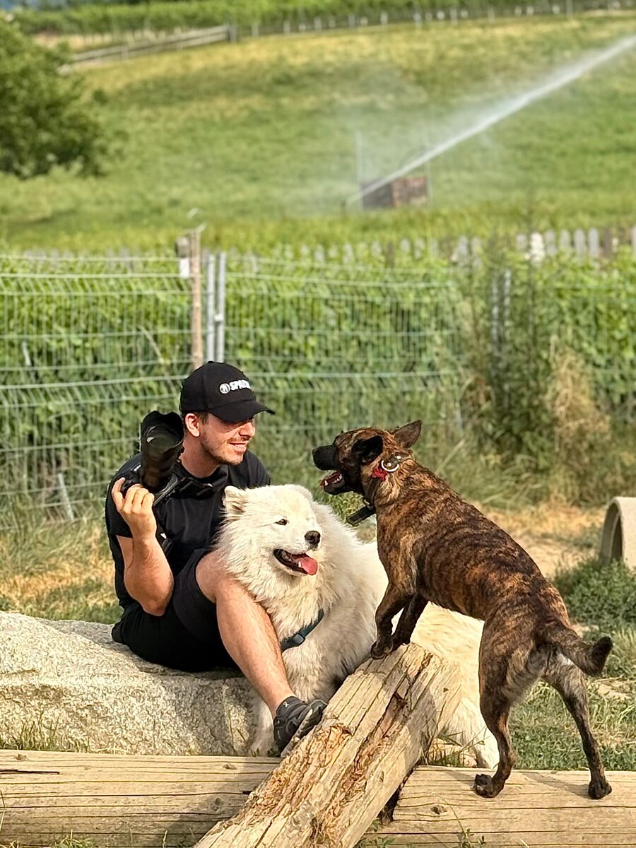 Adrien, fondateur d’Animalerte, avec ses chiens